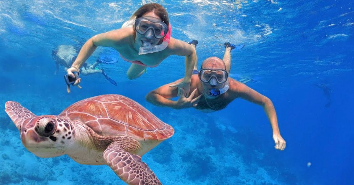 snorkeling at kuilima