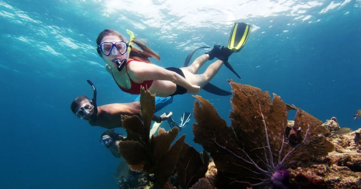 snorkeling at three table beach